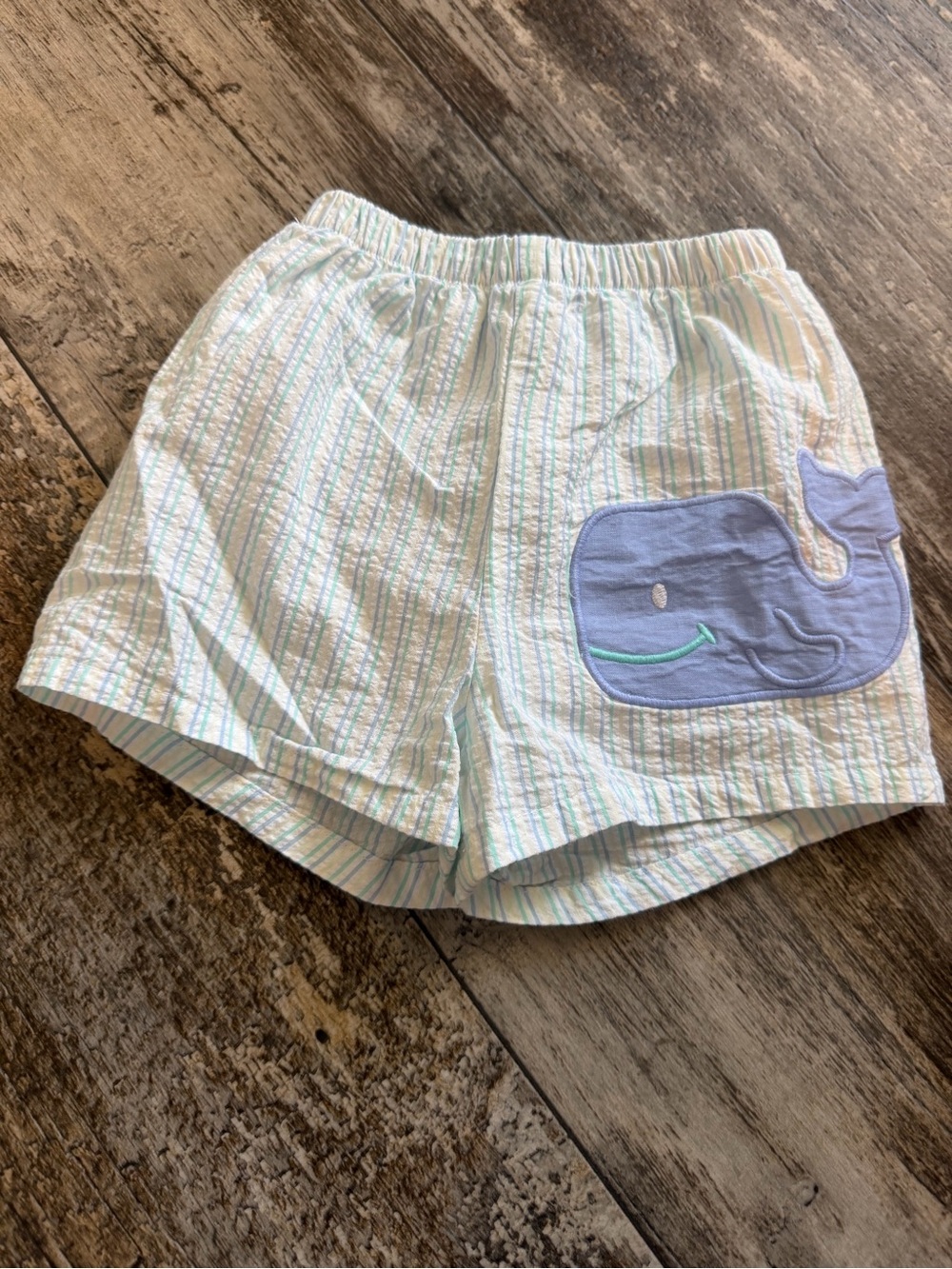The Bailey Boys Swim Trunks